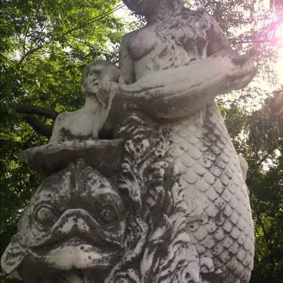 Meet your Posher, Ginger - Picture 3 of 4